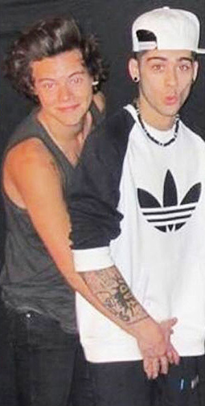 Harry Styles and Zayn Malik (One Direction)