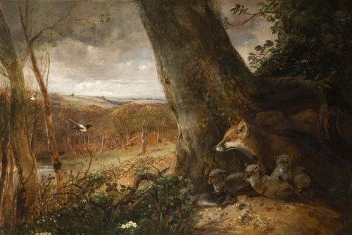 Samuel Lucas (1805 - 1870) - Foxes. Oil on canvas.