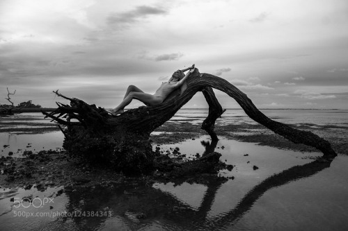 eroticart-photos:  Driftwood, Nude ,Nude on driftwood