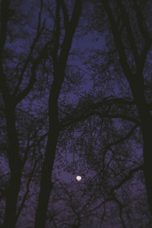 plasmatics-life:  Beautiful Moon ~ By Angélica Vis 