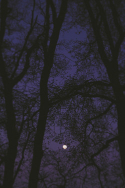 Plasmatics-Life:  Beautiful Moon ~ By Angélica Vis 