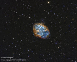 spacettf:  M1 - The Crab nebula in narrowband #Explored by swag72 (www.swagastro.weebly.com) on Flickr.
