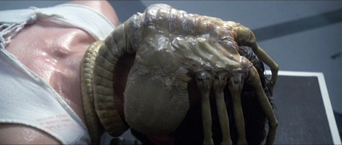 sams-film-stills:Alien (1979) Dir. Ridley Scott