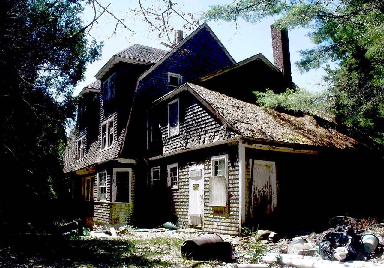 red-queen-to:  The House of BooksLost Guest House, left empty for more than 20 yearsFilled
