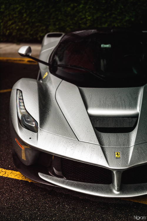hilgramphoto:  LaFerrari 