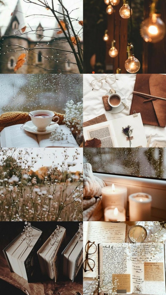 Aesthetic Wallpapers on Tumblr - #cosy wallpaper