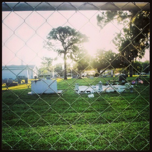 Enjoying the beautiful morning in my backyard :-) #graveyard #backyard #graves #beautifulview #beaut