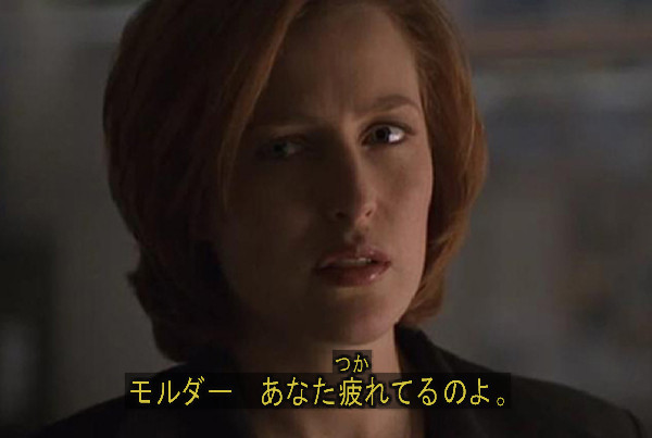 モル疲