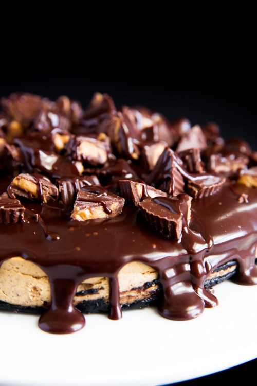 delta-breezes: Peanut Butter Cup Cheesecake | Broma Bakery