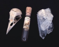 roadkillandcrows:  Vintage medical vial I bought yesterday. 