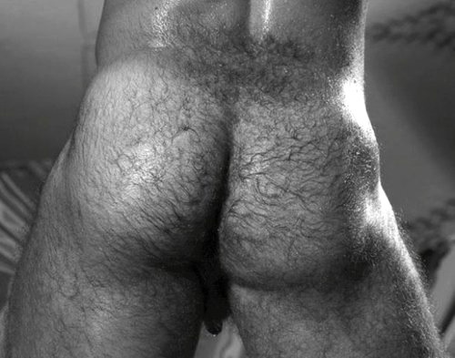 marvinquinn: okiesmen: Ackerman McQueen hairy ass and fur patch on back