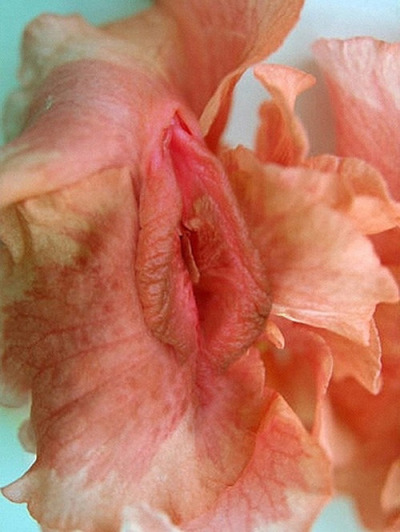 ybon-paramoux:The Name of the Rose porn pictures