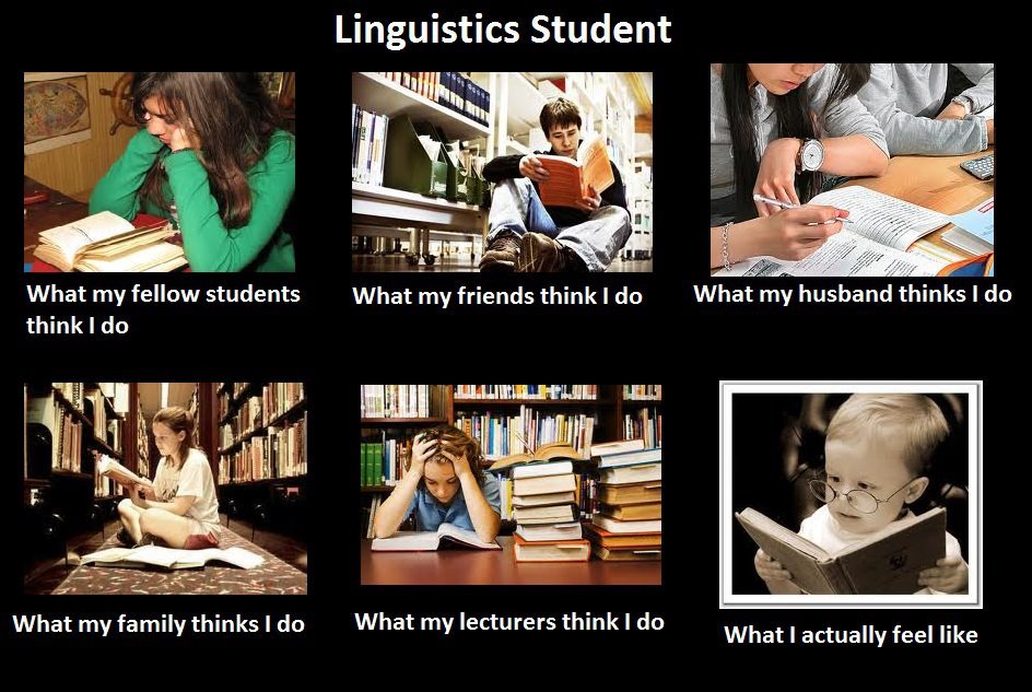 Popular misconceptions: the linguistics student[Originally made by @kayleela for www.linguisten.de]