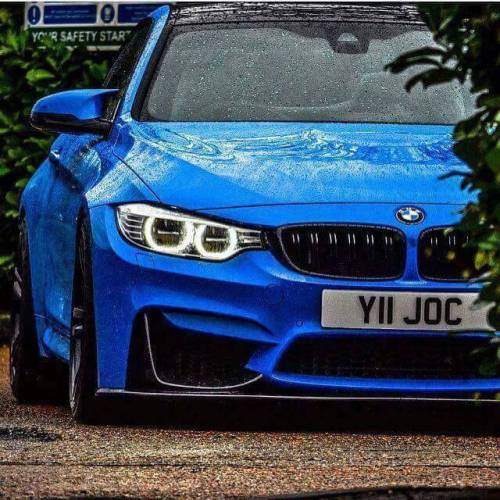 mpowerbmwch:  CLICK FOR MORE 