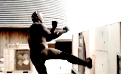 itironman:    The Black Panther has been a protector of Wakanda for generations.