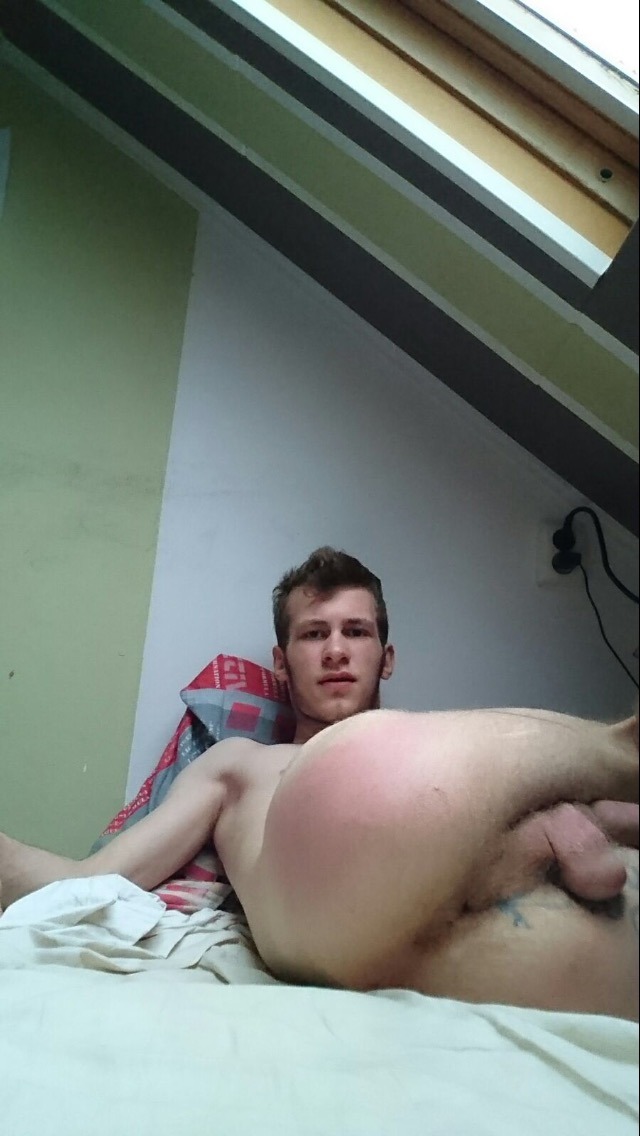 nackteschweine4you: nothing-gay-bttm:  Good boy. He does all i want !!!   Dave. 18