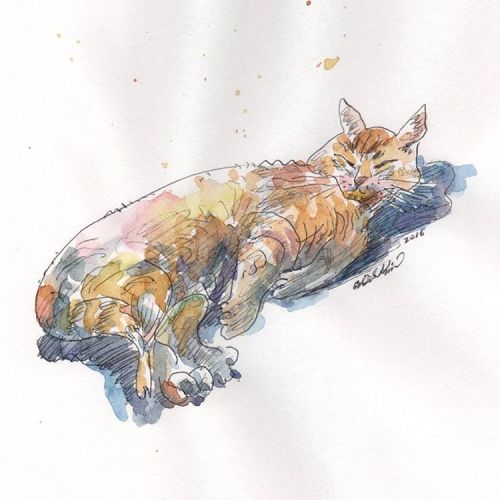 willkimart:@jeffsotoart @jenyso I finally drew your #cat ! #watercolor #willkim #illustration #art #