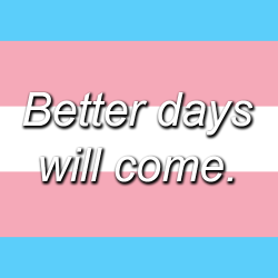 toywaving:  For all of my LGBTQIAP+ siblings out there, right now.. Please don’t give up. We will be heard. I love you all, please stay safe. Please. 