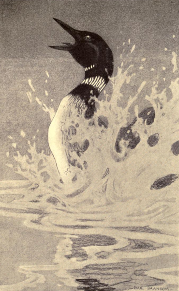 antiqueanimals:Neighbors Unknown. Written by Charles G. D. Roberts. Illustrated by