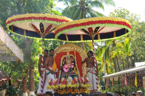 Mettupalayam Sri Srinivasa Brahmotsavam Surya Prabha