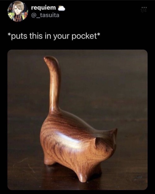 Your Daily Dose Of Cat Memes
