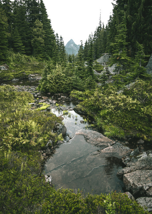 Creek by Graham Spencer // Mines of the West