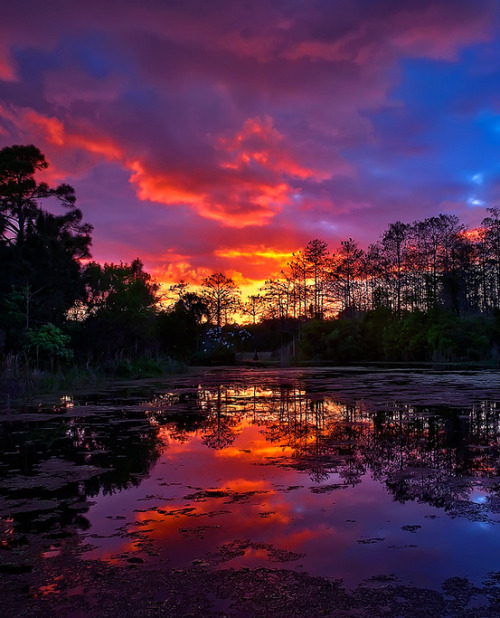 coiour-my-world:Sunset over Riverbend Park in Jupiter, FL by HDRcustoms