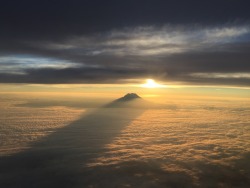 sixpenceee:  Another picture of Mt. Rainier