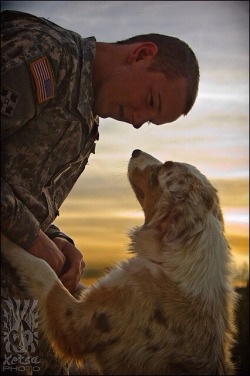 militarykisses:  peerintothepast:  Soldiers’ Angels #WarDogs  Best friends   Awesome