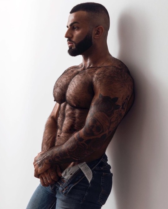 bearlyapup:  