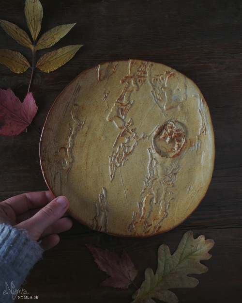  In the shop: woodborer and bark plates. All of them different from eachother. Does anyone else enjo