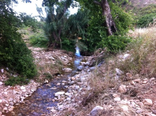 studyblrmartini:Something from our geology/paleontology field trip in Pikermi, Greece.