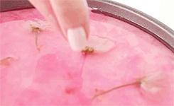 lustingfood:  Sakura Cherry Blossom No-Bake Cheesecake (x) 
