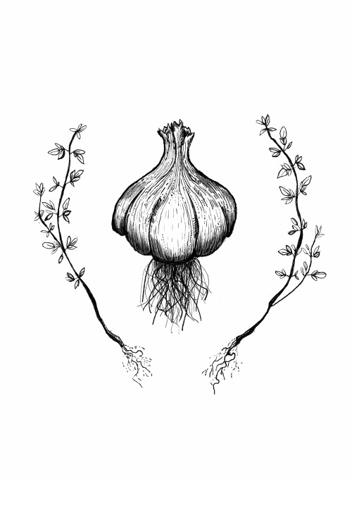 sarahmould:Garlic & Thyme, tattoo commission for John 2015