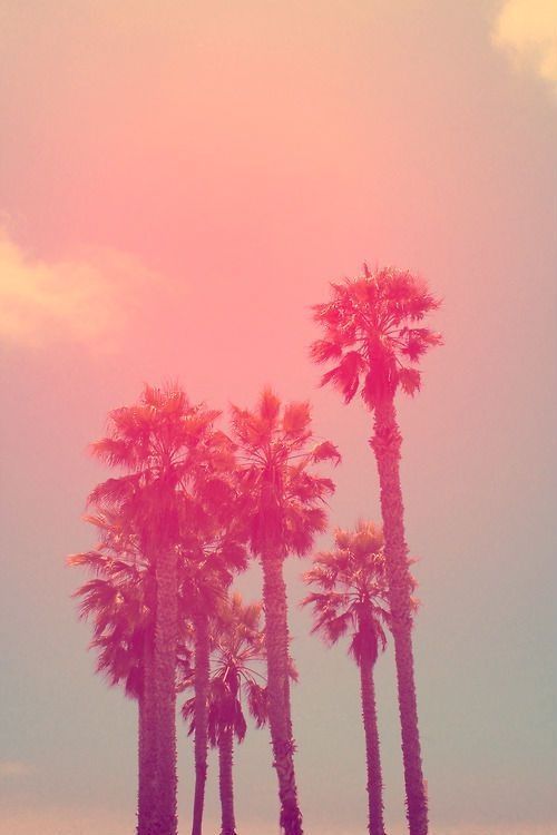 kushandwizdom:  More photography here