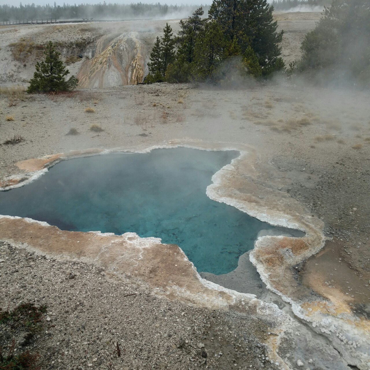 wereonaspaceship:  #hotbed #hotspring #yellowstone #geothermic #geology #minerals