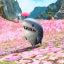 sharksarethebesttt