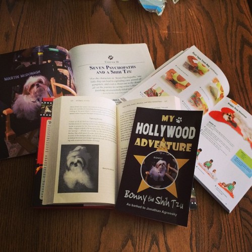 I&rsquo;m in books! I even wrote one (with a bit of help from a wonderful author friend #Jonatha