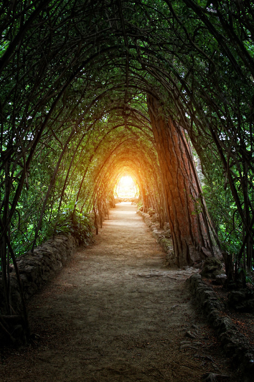 disminucion:  Light at the End | Carlos Gotay Martínez 