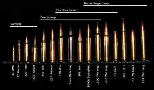 Porn Pics gunrunnerhell:  Caliber Selection I believe