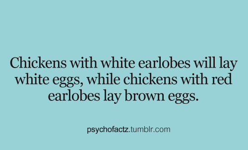 psychofactz:  More Facts on Psychofacts :)