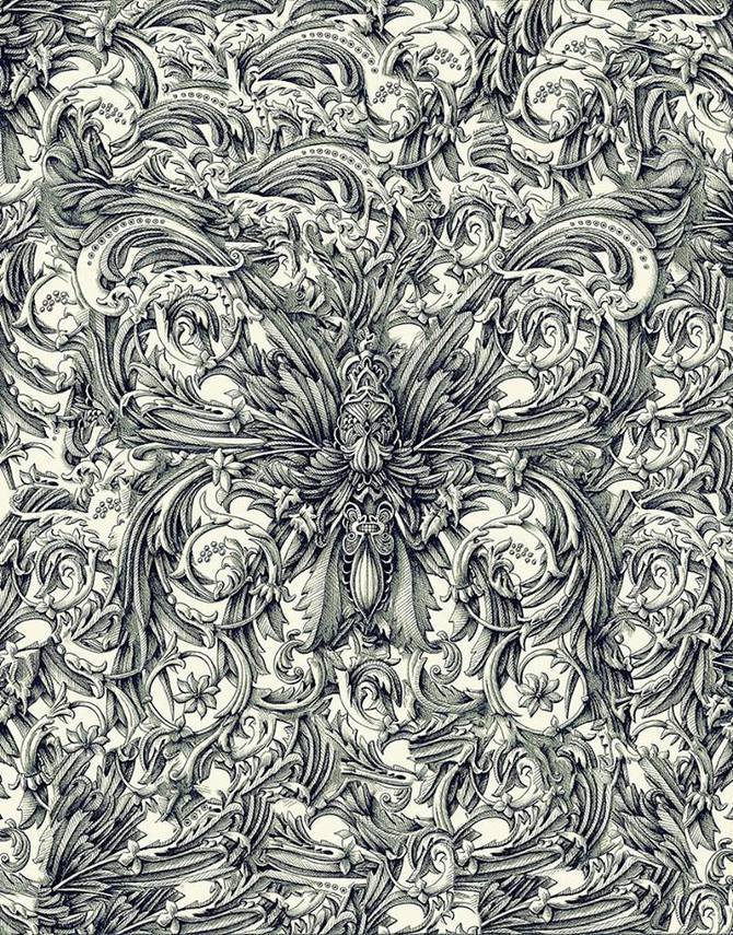 actegratuit: Renaissance-Style Insect Drawings by Alex Konahin 