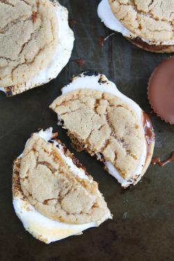 verticalfood:  Peanut Butter Cookie S’mores
