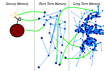 Subway Personality: The MBTI Map  Mbti, Mbti personality, Psychology