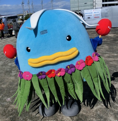 本日は、大分県マリンカルチャーセンターマスコットキャラクター「ハマンボウ」について。「佐伯市蒲江に毎年春になると訪れる「マンボウ」と、旧蒲江町の町花である「ハマユウ」を組み合わせたキャラクター。頭に咲