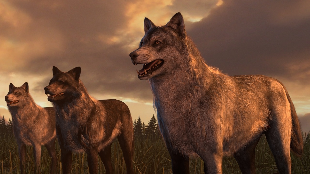  Call of Duty: Ghosts Wolf and Hellhound  Source Filmmaker Models Wolf and Hellhound