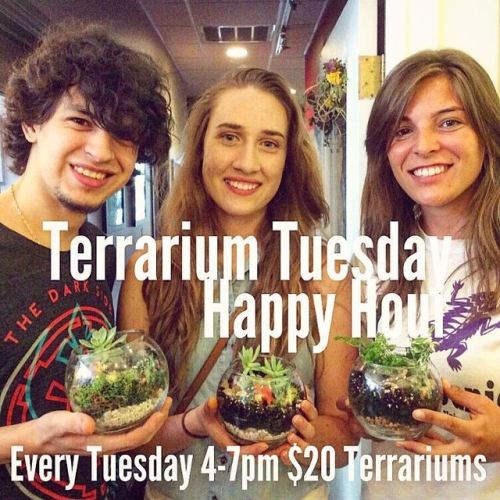 It’s Terrarium Tuesday! Happy Hour special, 4-7pm make our classic Bubble Bowl Terrarium for just $20! That’s $10 off! Price includes all supplies, no reservations, walk ins only, first come first serve. #makeyourownterrarium #terrariumparty (at...