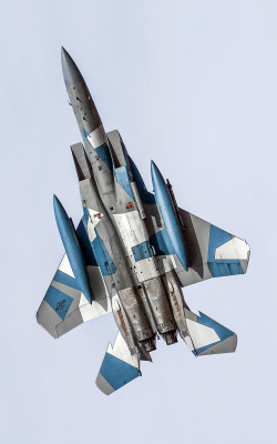 robotpignet:  F-15 Aggressor