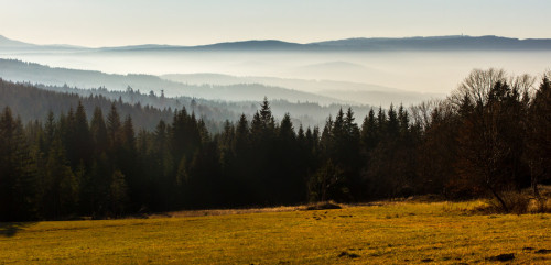 superbnature:Sunny Autumn in Šumava by martinpilat