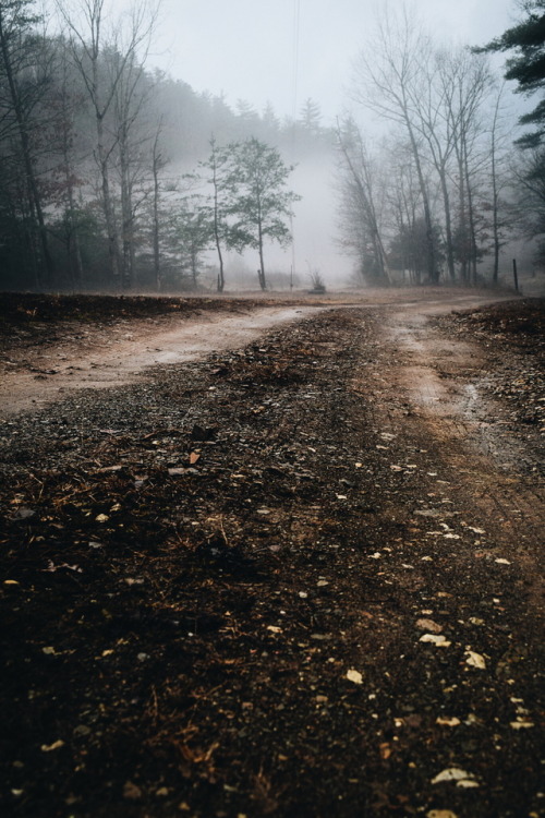 shutter-viibes: Moody adventures.